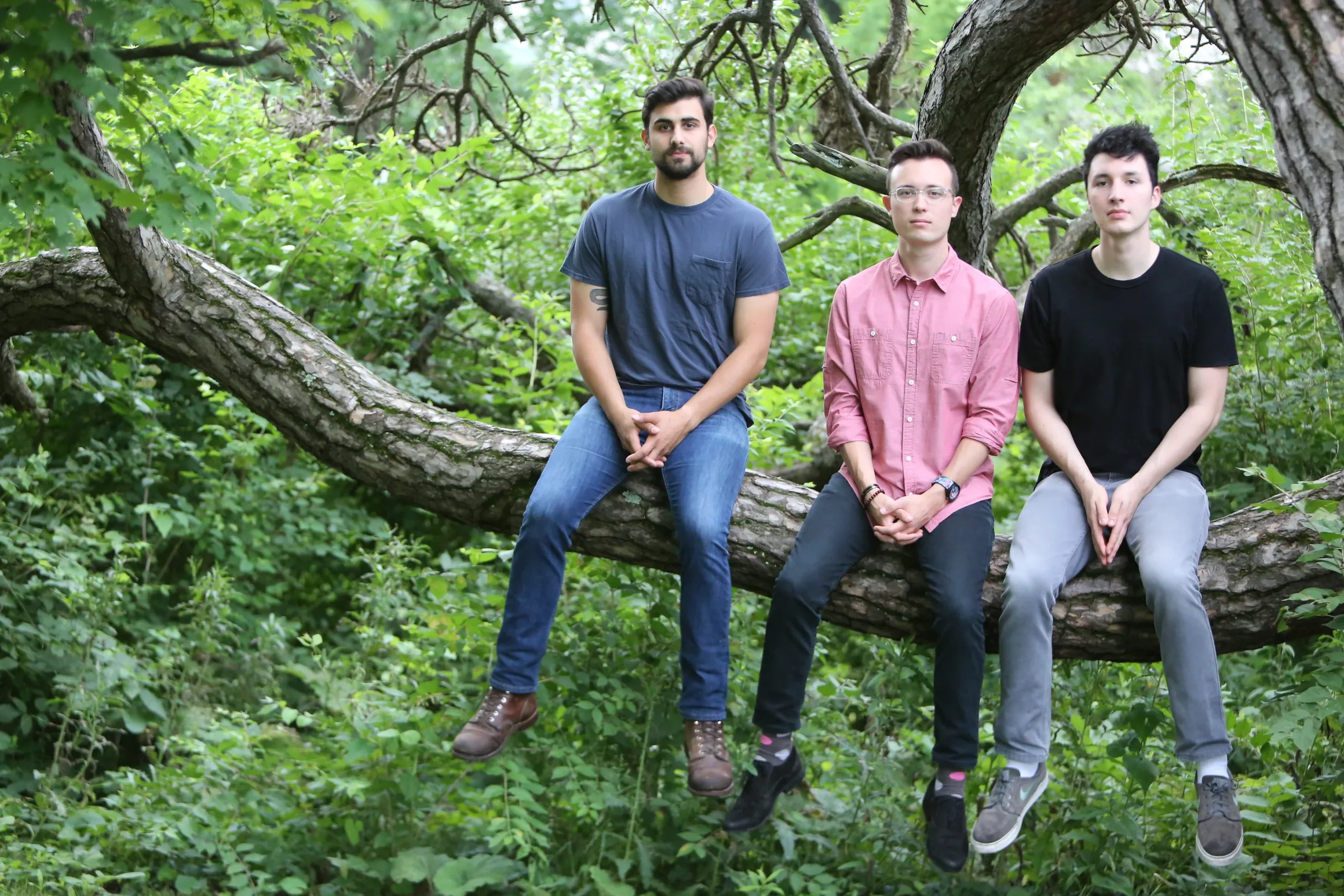 Quartet group photo with members sitting on a hanging branch from a tree